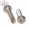 Anti-Theft Screw/Adjusting Screw/Self-Tapping Screw/Drywall Screw with High Quality